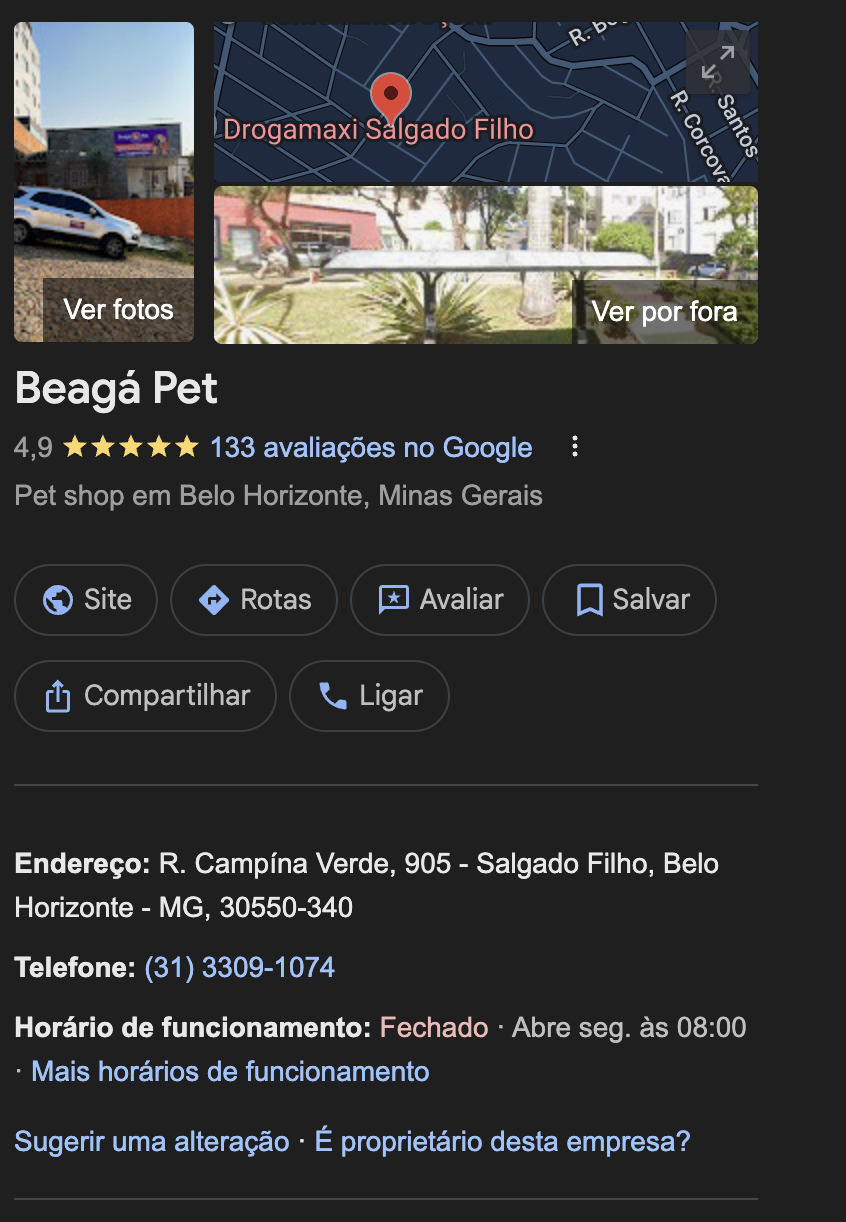 Exemplo Google Meu Negócio 3